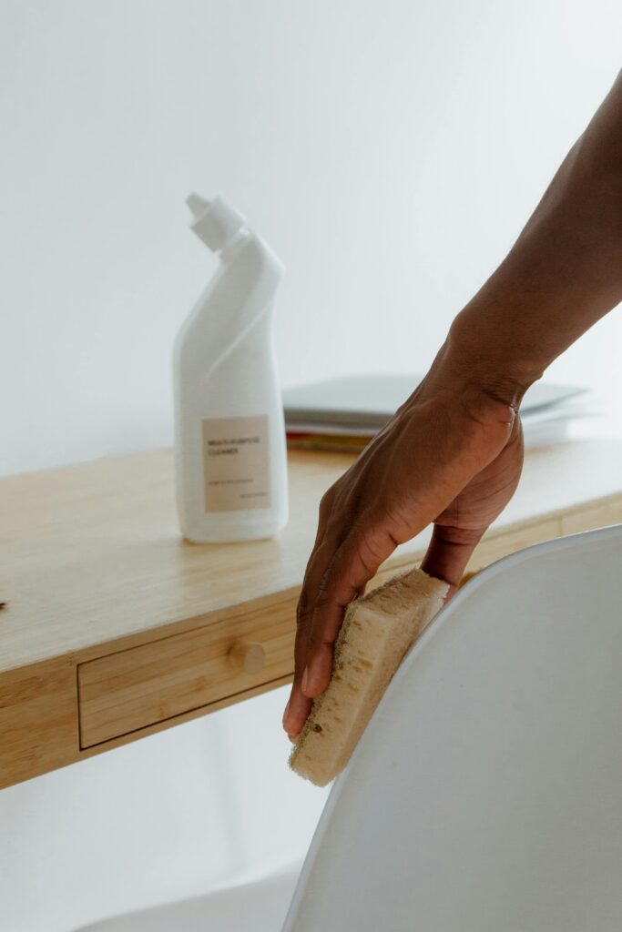 Organic Home Cleaning Companies near Ellicott City