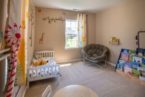 organic home cleaning companies near Ellicott City