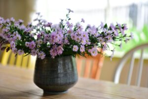 home cleaning companies in Columbia