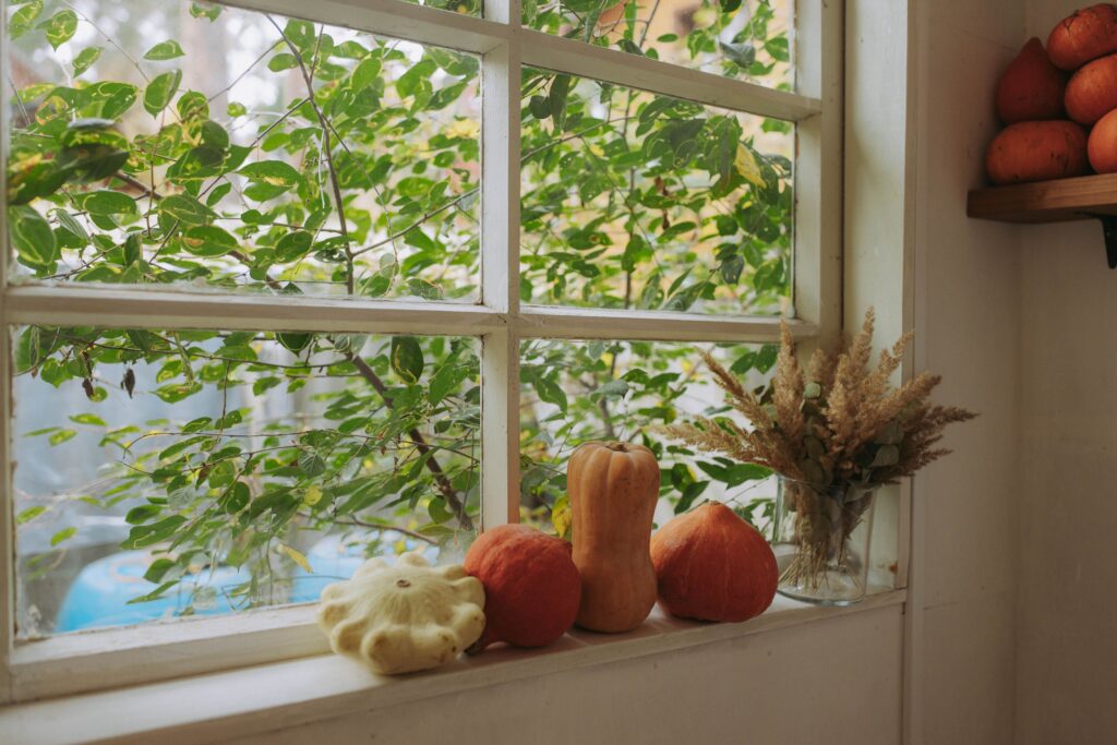 The Best Cleaning Companies in Ellicott City