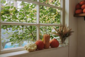 The Best Cleaning Companies in Ellicott City